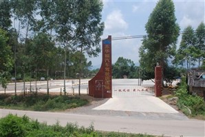 �����к�����У